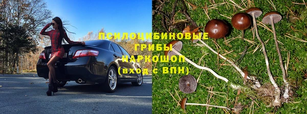 гашик Арсеньев