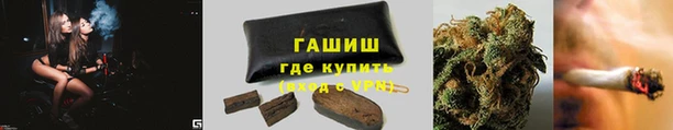 дмт Аркадак