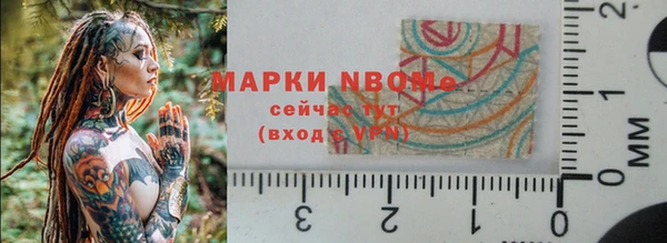 гашик Арсеньев