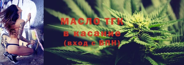 гашик Арсеньев